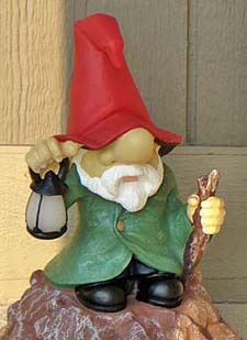 Mr. Gnome